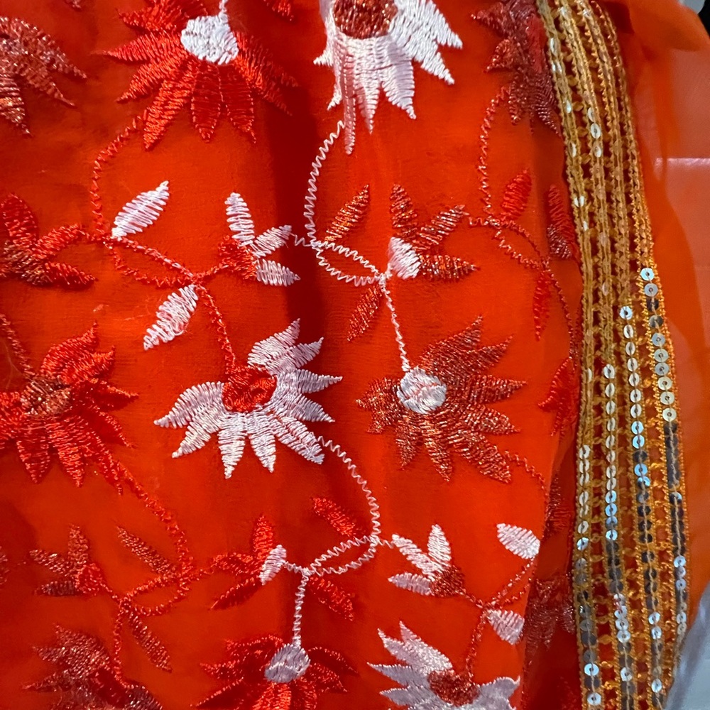 Indian sari